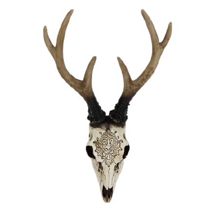 Bone Stag Head with Carving