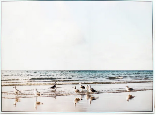 Seagulls On Shore Print 113x83 cm