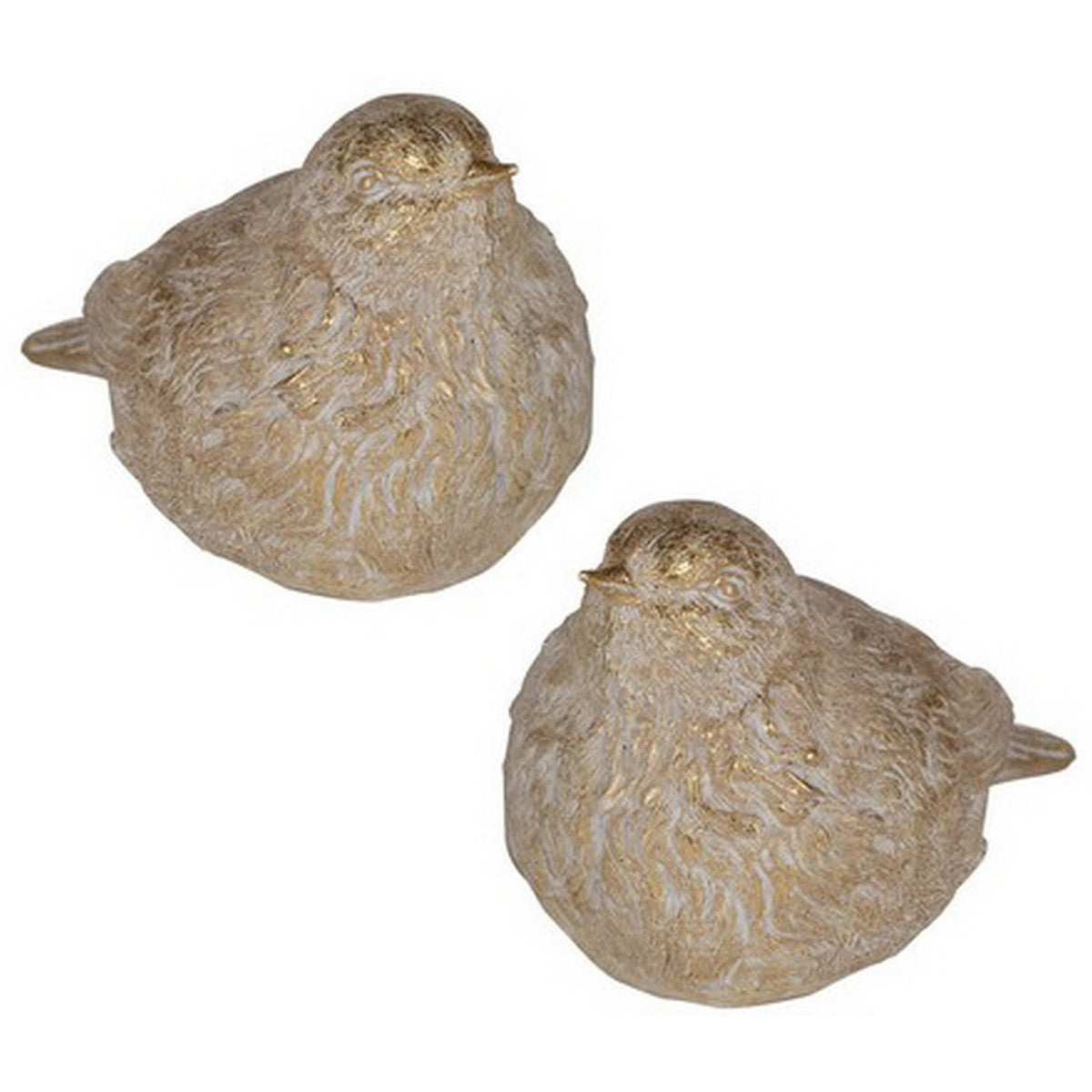 Warblers Set of 2